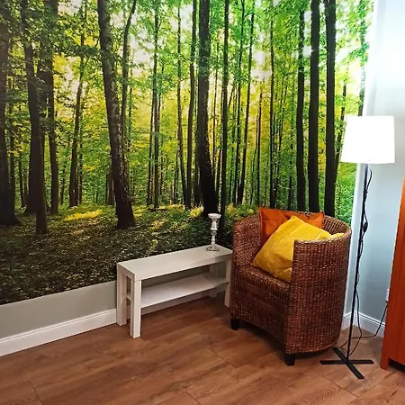 Rozeta Centrum 6os アパート レグニツァ