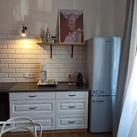 Rozeta Centrum 6os 公寓 *