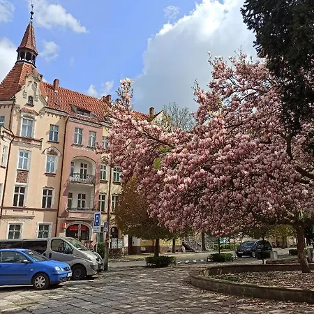 公寓 Rozeta Centrum 6os