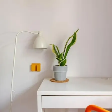 公寓 Rozeta Centrum 6os 莱格尼察