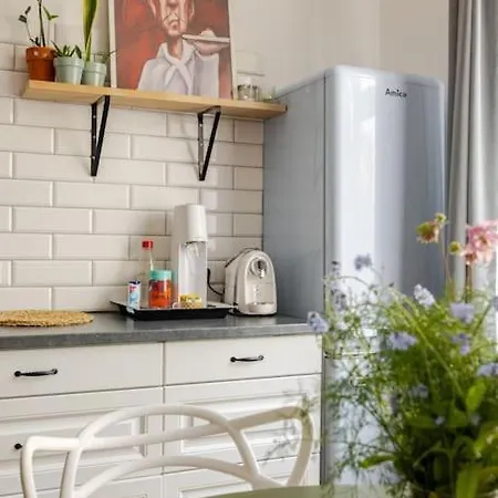 Rozeta Centrum 6os 公寓 *