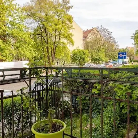 Rozeta Centrum 6os 莱格尼察