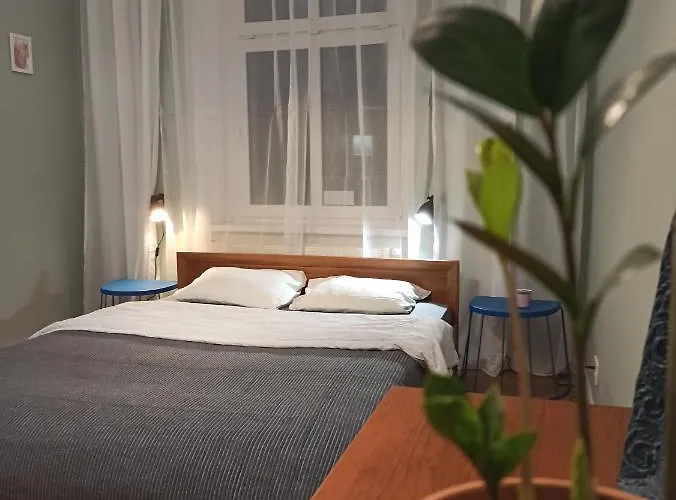 Rozeta Centrum 6os 公寓 莱格尼察