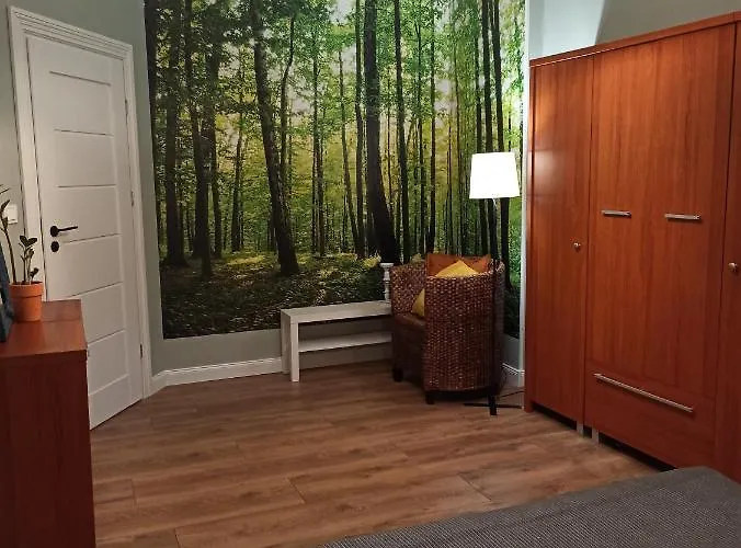 Rozeta Centrum 6os 公寓 *