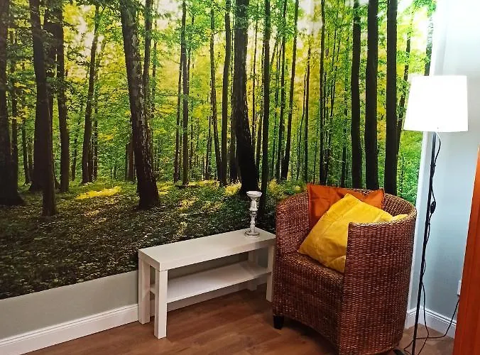 Rozeta Centrum 6os 公寓 莱格尼察