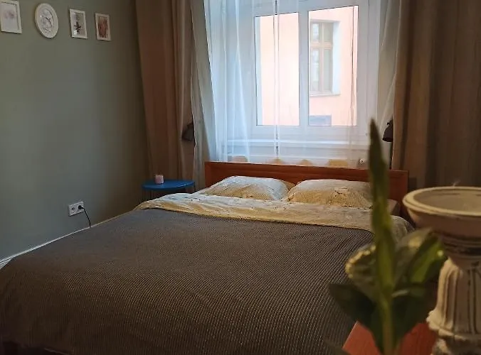 Rozeta Centrum 6os * 莱格尼察