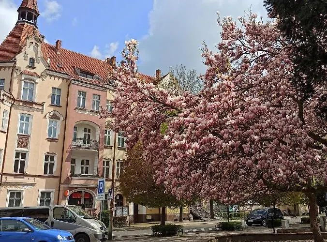 公寓 Rozeta Centrum 6os