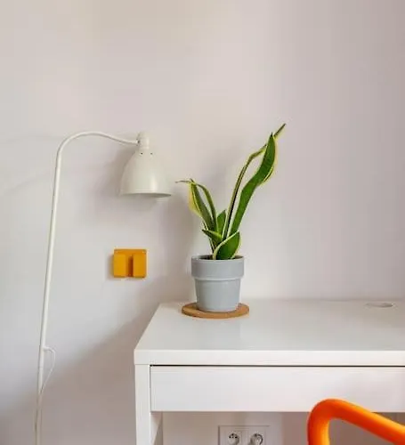 公寓 Rozeta Centrum 6os 莱格尼察