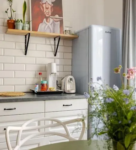 Rozeta Centrum 6os 公寓 *