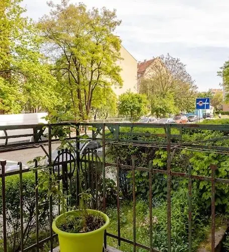 Rozeta Centrum 6os 莱格尼察